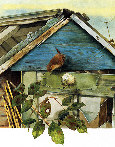 Bird-House